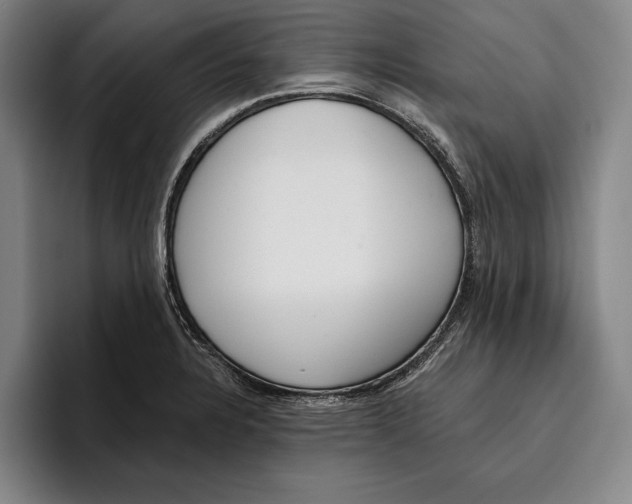 X0000096211328200802151454