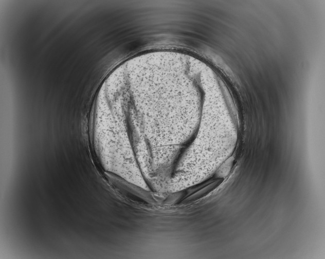 X0000096211329200802151454