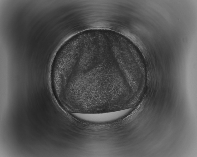 X0000096211331200802151454