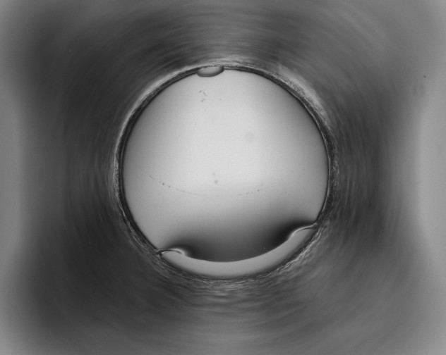 X0000096211332200802151454