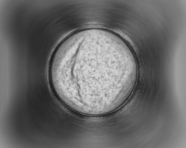 X0000096211333200802151454