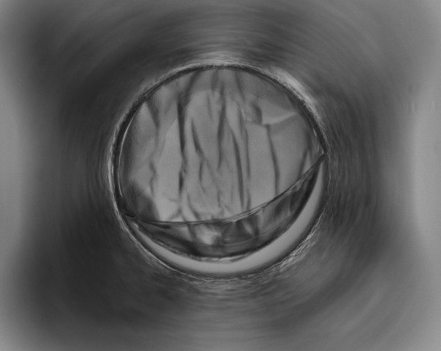 X0000096211334200802151454