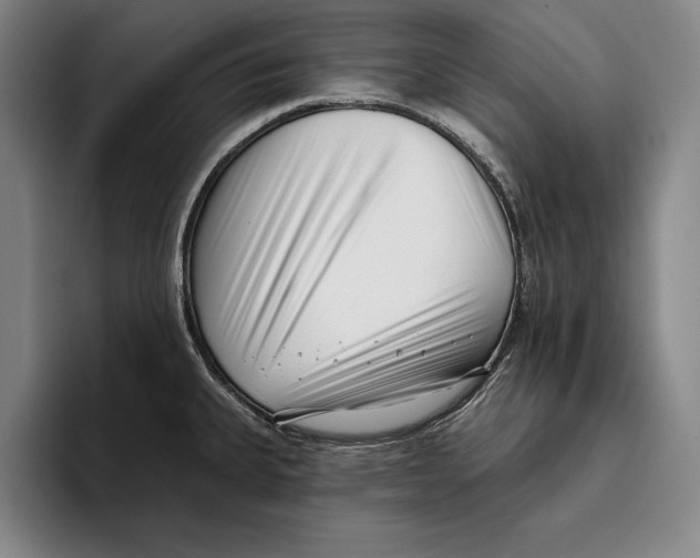 X0000096211335200802151454