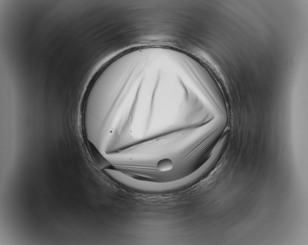 X0000096211336200802151454