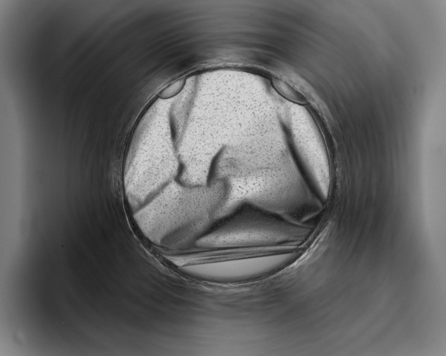 X0000096211337200802151454