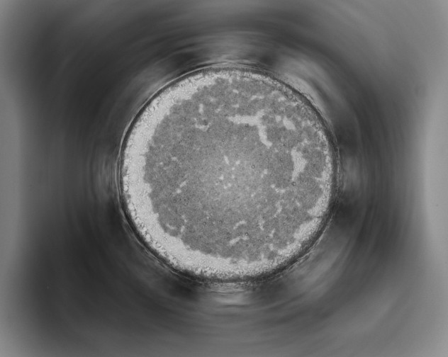 X0000096211338200802151454