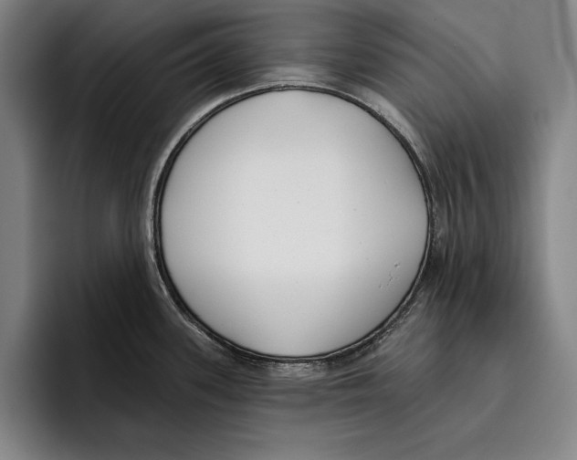 X0000096211339200802151454