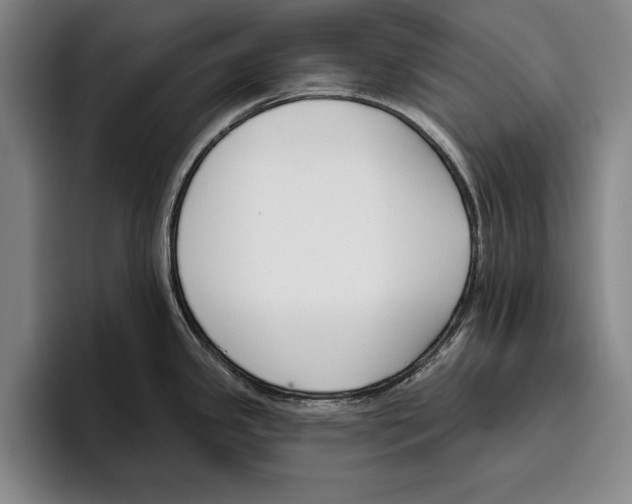 X0000096211341200802151454