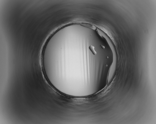 X0000096211342200802151454