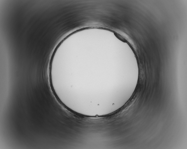 X0000096211343200802151454