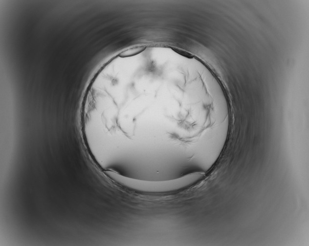 X0000096211344200802151454