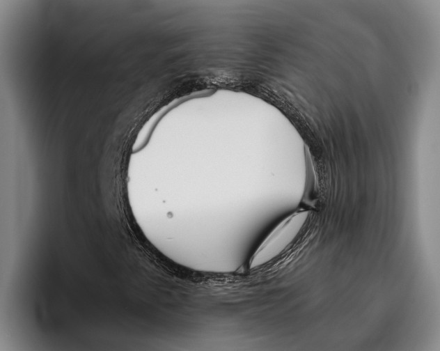 X0000096211345200802151454