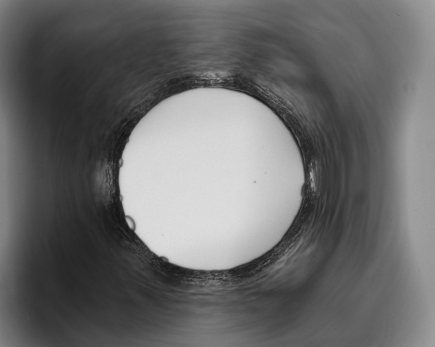 X0000096211347200802151453