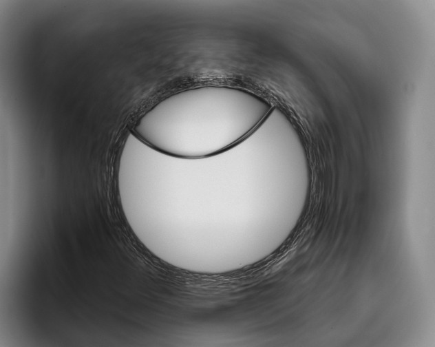 X0000096211348200802151453