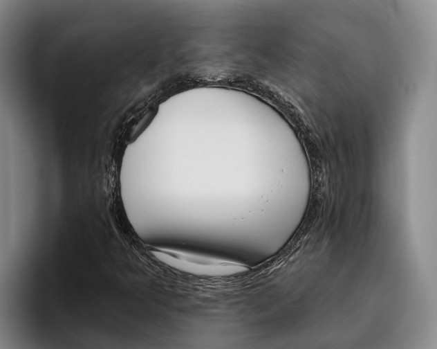 X0000096211349200802151453