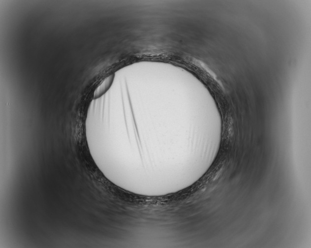 X0000096211350200802151453