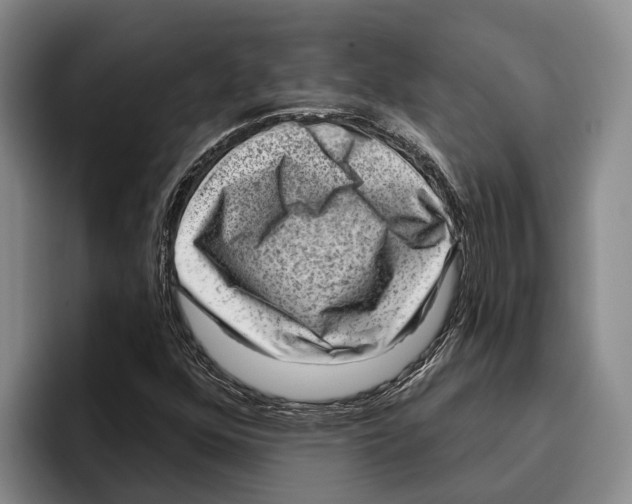 X0000096211352200802151453