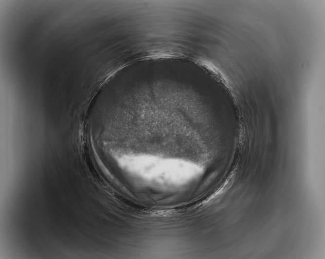 X0000096211353200802151453