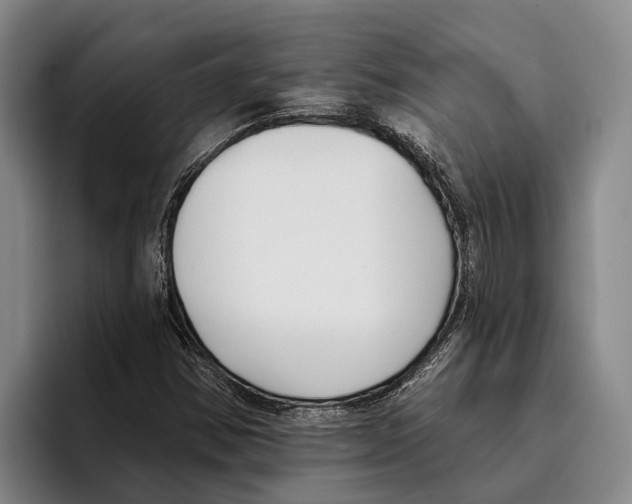 X0000096211354200802151453