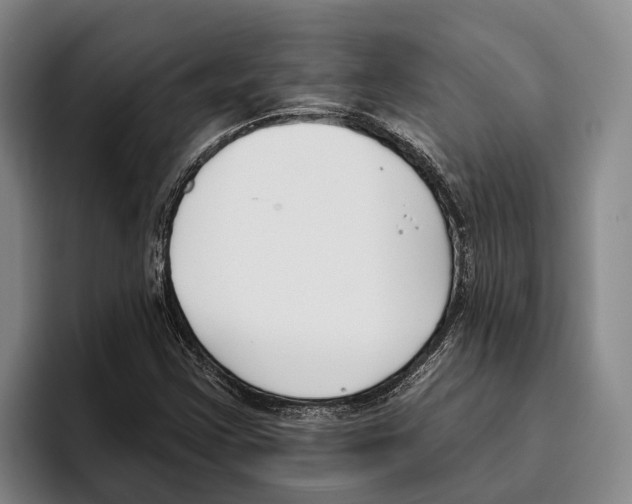 X0000096211355200802151453