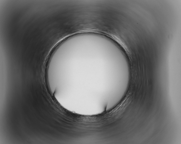 X0000096211356200802151453