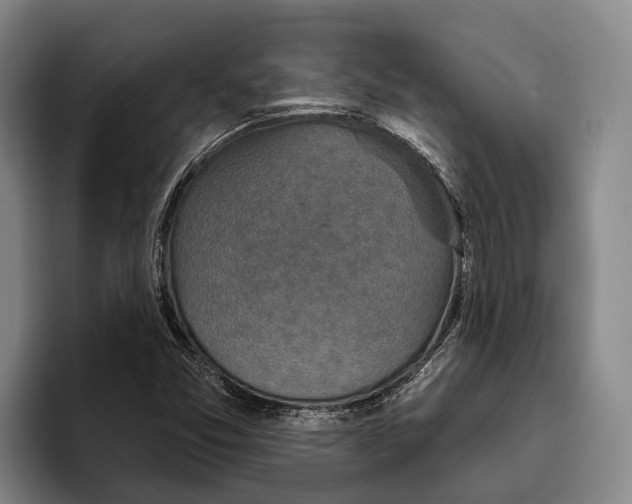 X0000096211357200802151453