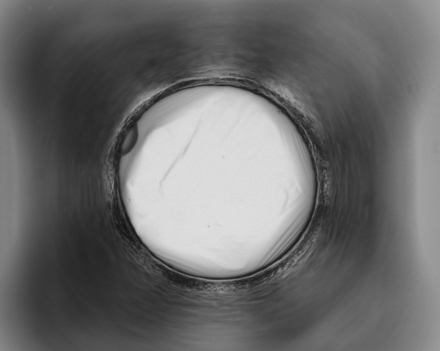 X0000096211358200802151453