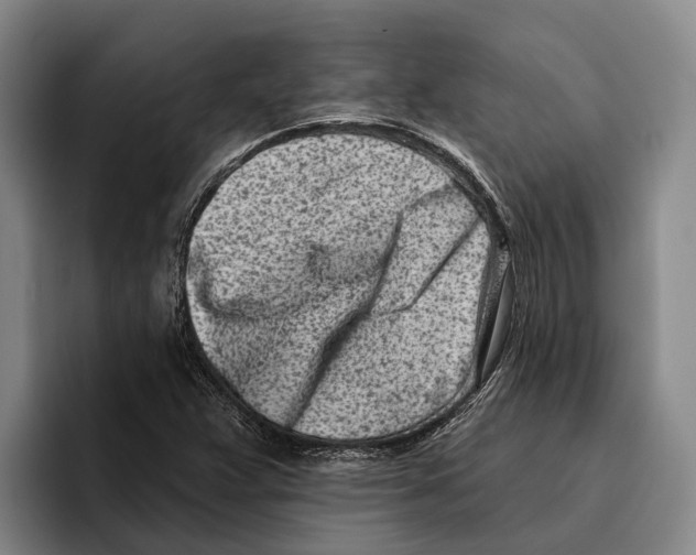 X0000096211359200802151453