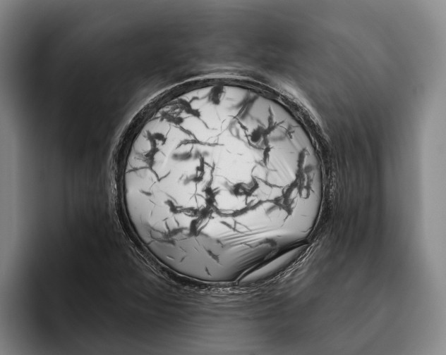 X0000096211360200802151453