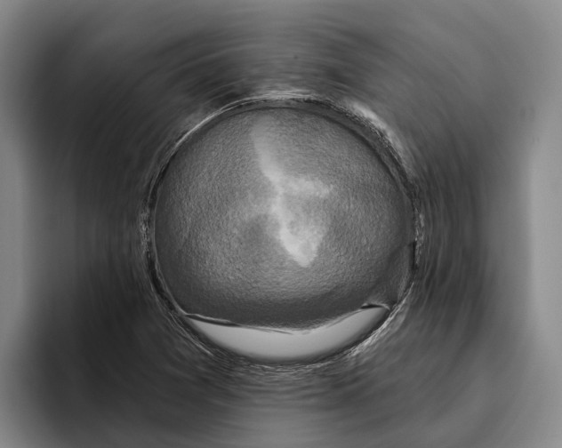 X0000096211361200802151453