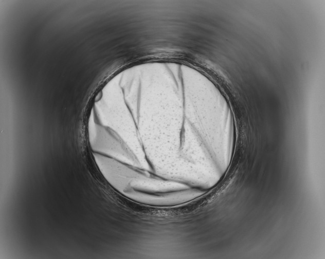 X0000096211362200802151453