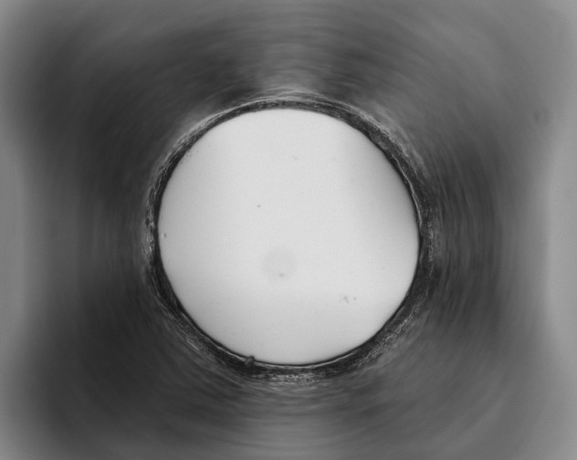 X0000096211363200802151453