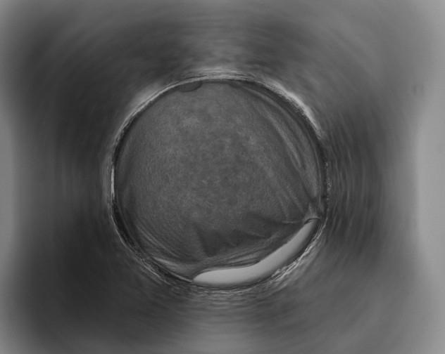 X0000096211365200802151453