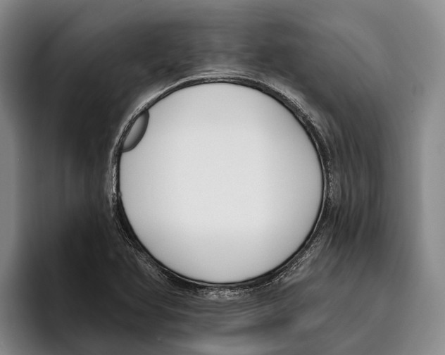 X0000096211366200802151453