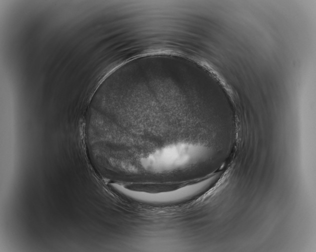 X0000096211369200802151453