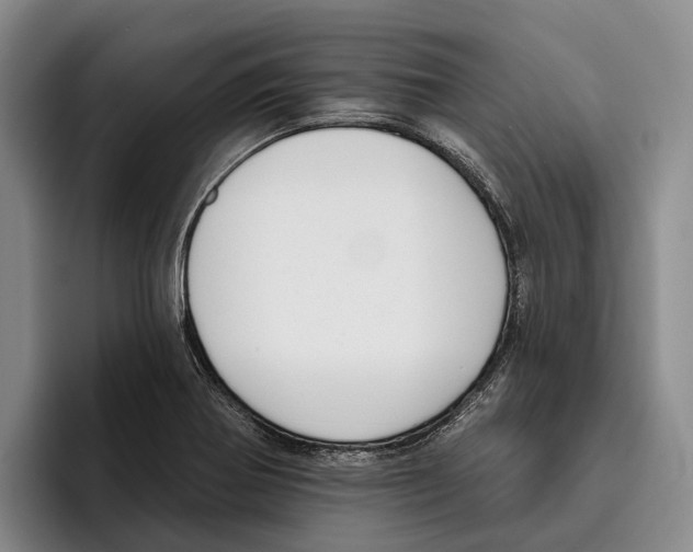 X0000096211370200802151453