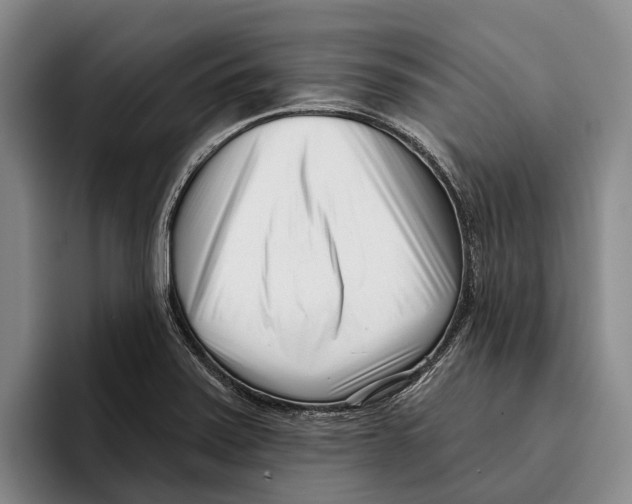 X0000096211371200802151453