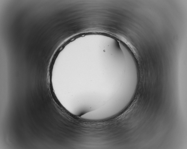 X0000096211372200802151453