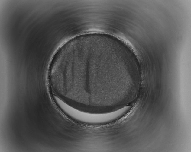 X0000096211373200802151453