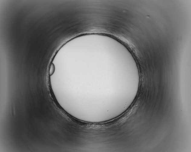 X0000096211374200802151453