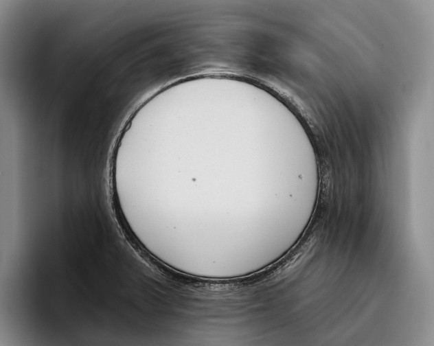 X0000096211375200802151453