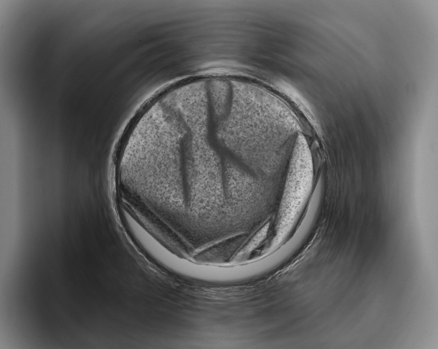 X0000096211376200802151453