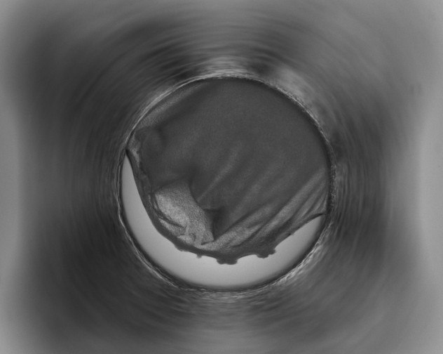 X0000096211377200802151453