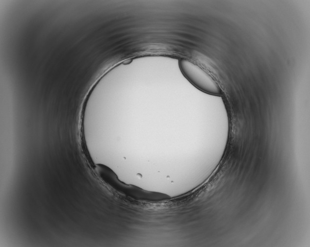 X0000096211378200802151453