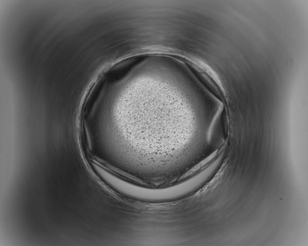 X0000096211381200802151453