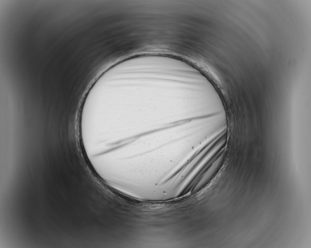 X0000096211382200802151453