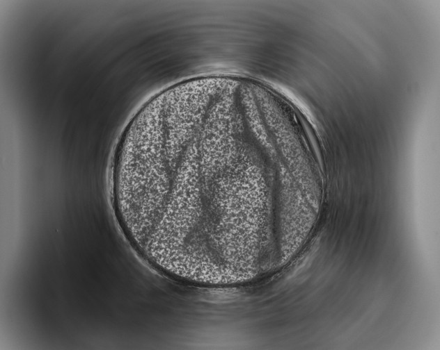 X0000096211383200802151453