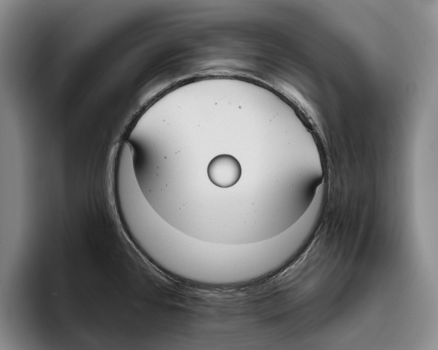 X0000096211384200802151453