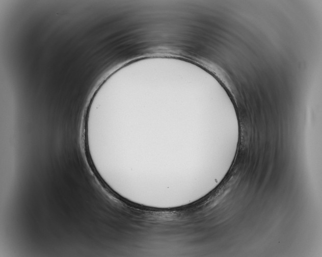 X0000096211387200802151453