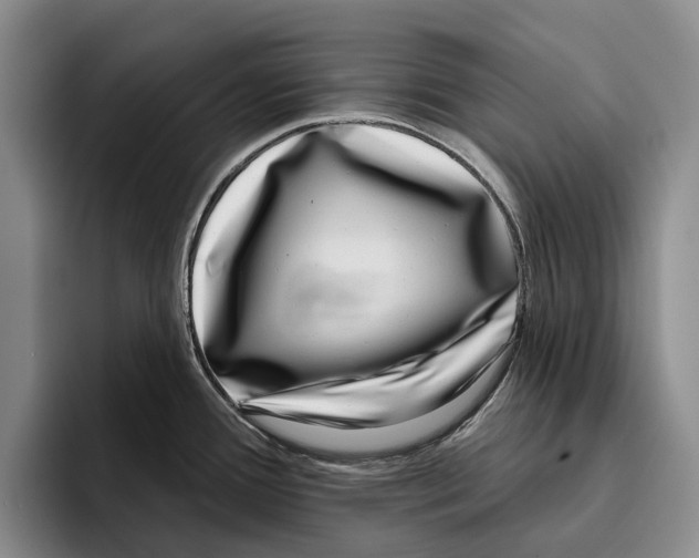 X0000096211388200802151453